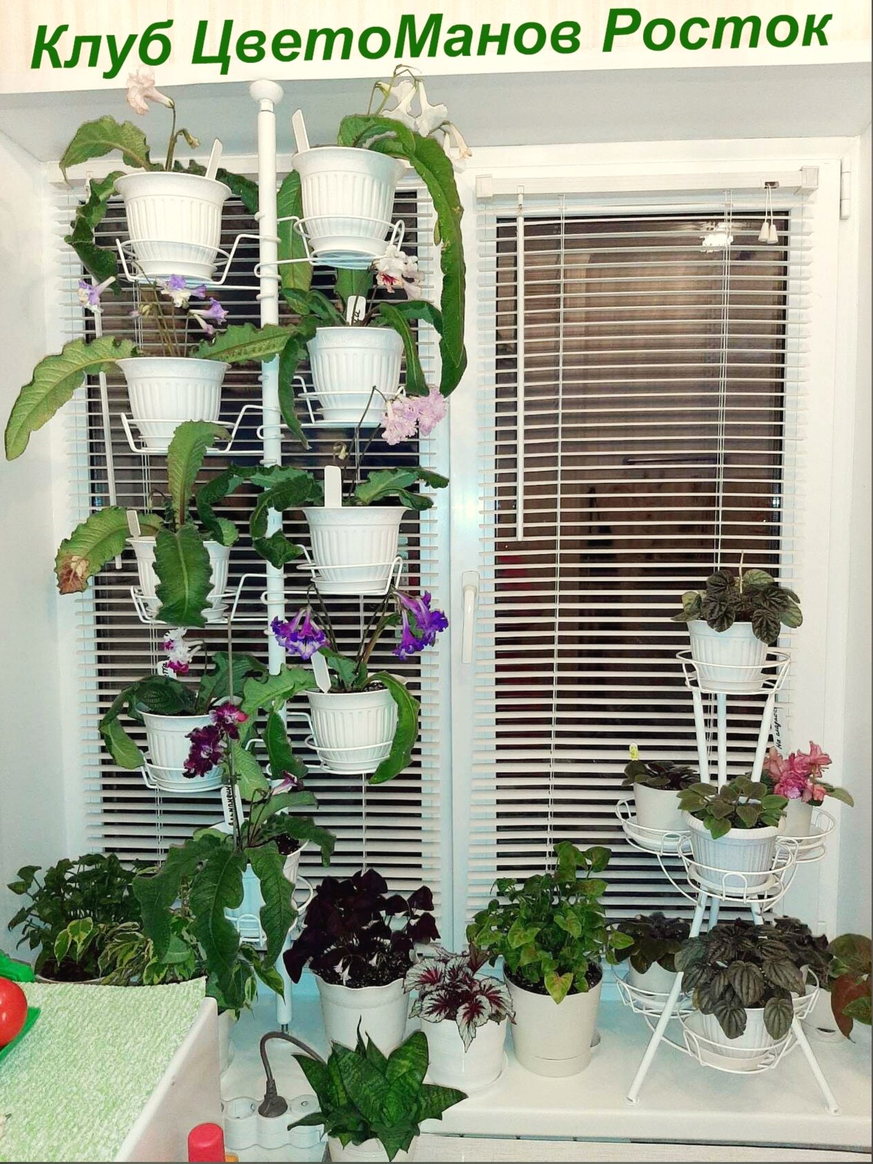 подставка для растений на окно вместительная. Фото N6